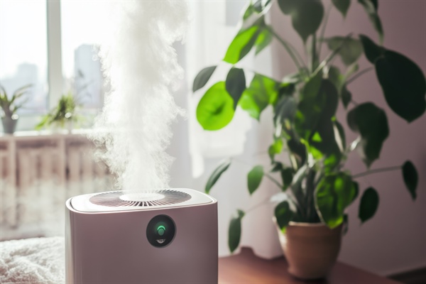 Warm Mist vs. Cool Mist Humidifiers: Key Differences Explained