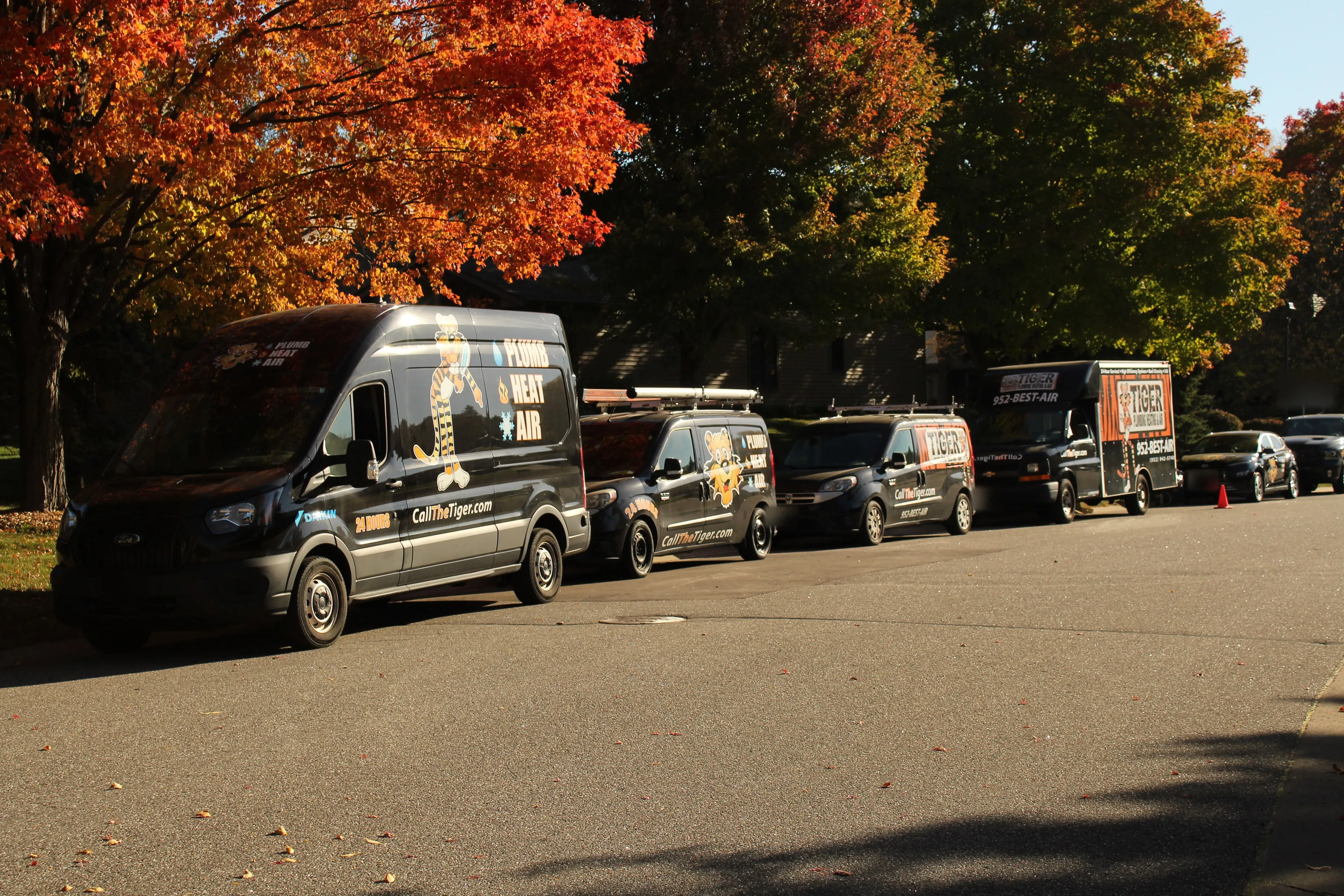 Tiger service vans parked in a row along a shaded street beneath bright orange maples.