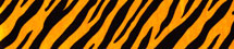 Tiger Skin Background Graphic