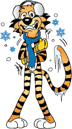 Tiger Character