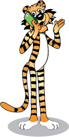 Tiger Character