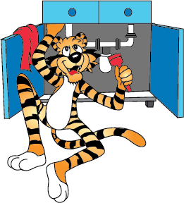 Tiger Character