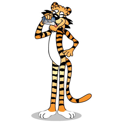 Tiger Character